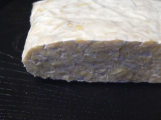 Homemade Tempeh
